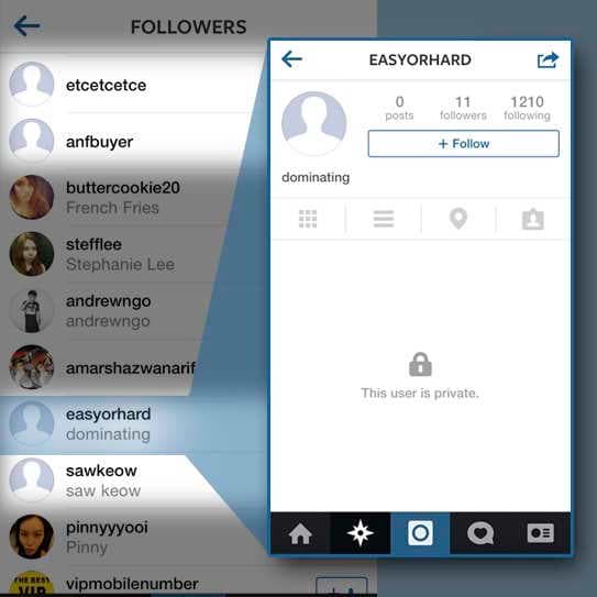 Fake Instagram Followers