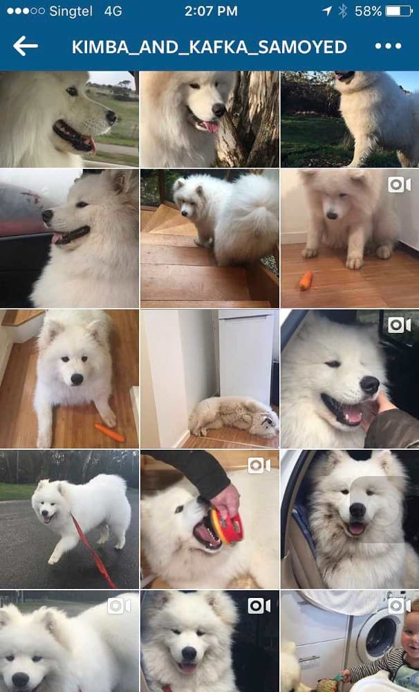 How Much Should You Post on Instagram