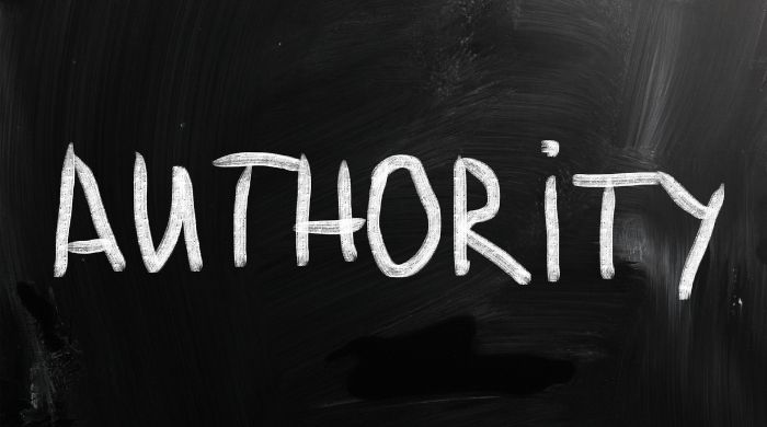 Authority of Your Website